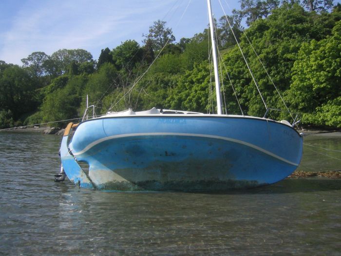 gal/2006-05-05 Careening/IMG_3163.jpg